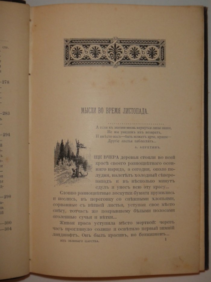 Кайгородов Д. Из зеленого царства.