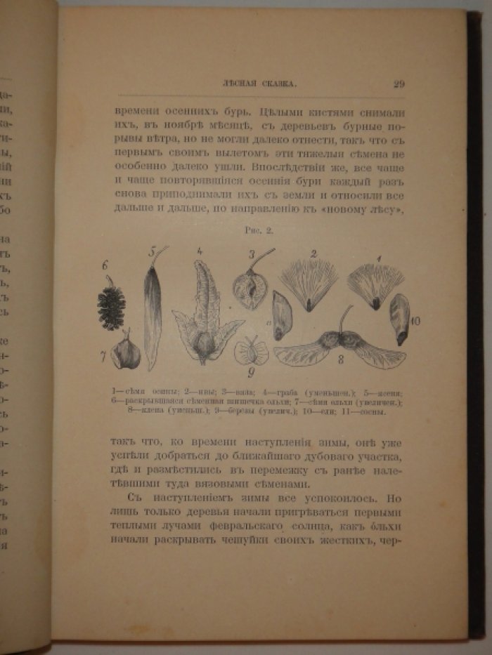 Кайгородов Д. Из зеленого царства.
