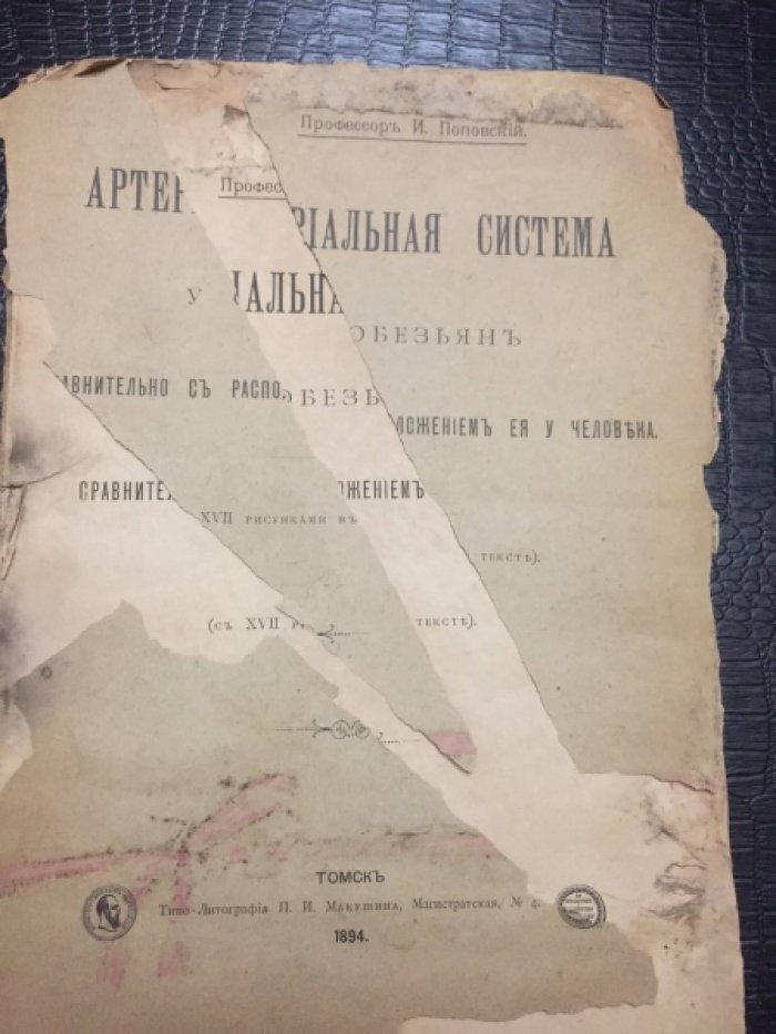 Поповский И. (проф). Артериальная система у обезьян сравнительно с расположением ее у человека. (с 17 рис.в тексте).