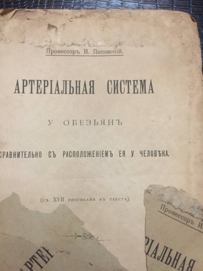 Поповский И. (проф). Артериальная система у обезьян сравнительно с расположением ее у человека. (с 17 рис.в тексте).