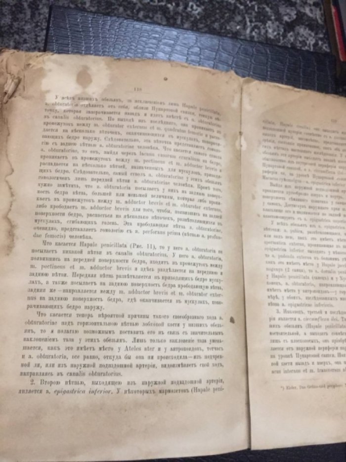 Поповский И. (проф). Артериальная система у обезьян сравнительно с расположением ее у человека. (с 17 рис.в тексте).