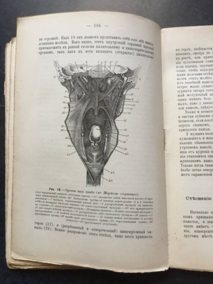 Нимейер Д-р. Берегите легкие. Гигиенические беседы с 30 рисунками.