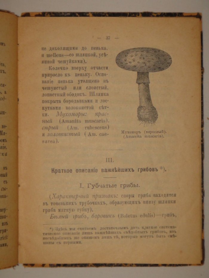 Конволют из двух книг: Троицкий Н. Собиратель грибов (справочная книжка для любителей). Максимов В., Сивков П. Рак и его ловля.