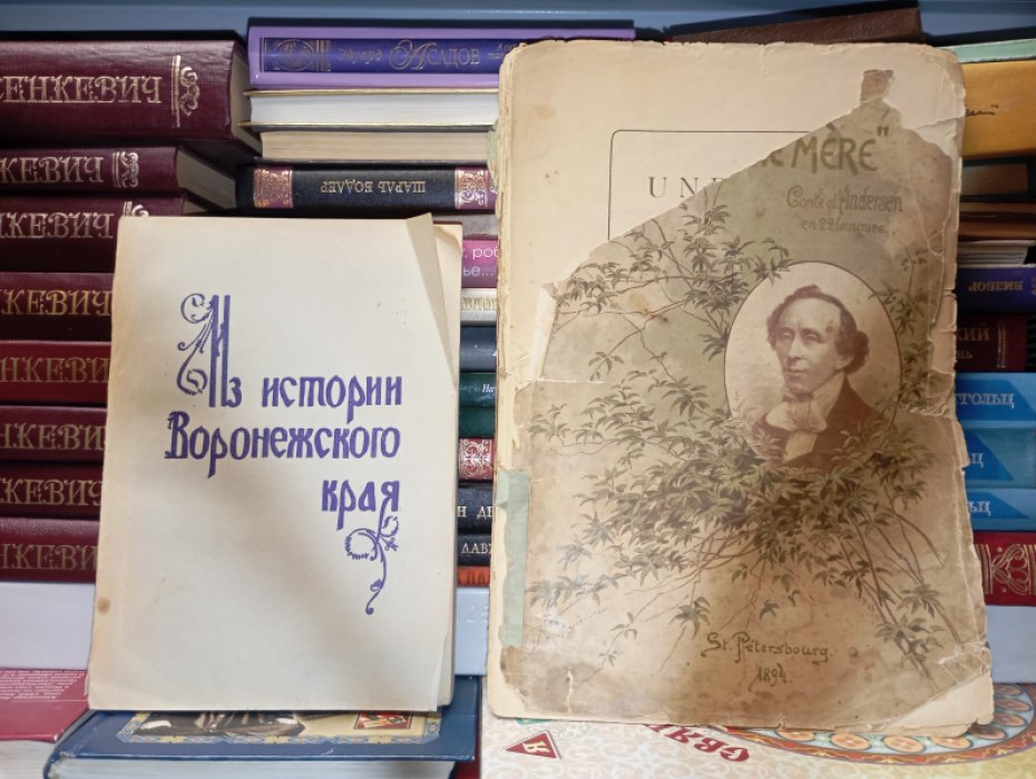 Андерсен Г.Х. Мать.