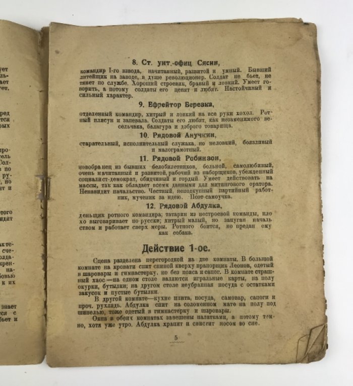 Социалист (Пьеса в 3 действиях и 4 картинах из эпохи войны 1914–1917 гг. перед Февральской революцией)
