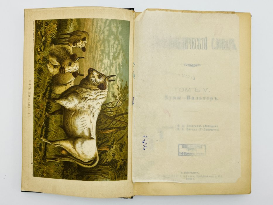Брокгауз Ф.А., Ефрон И.А. Энциклопедический словарь. Том V (полутом 9). Буны - Вальтеръ
