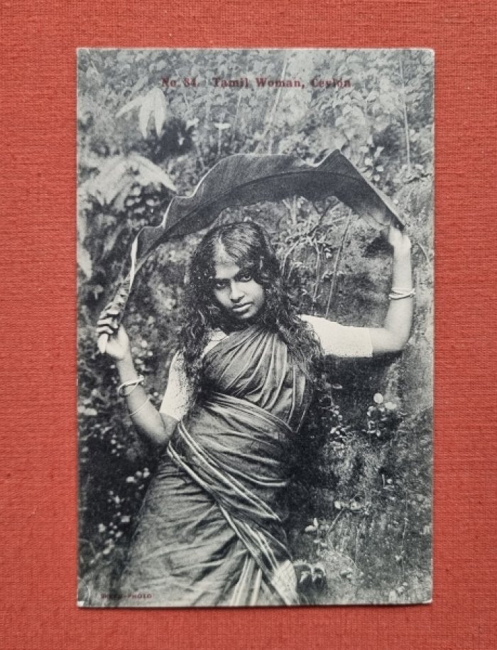 Tamil woman. Ceylon. № 84. / Тамильская женщина. Цейлон, конец 1800-х годов.