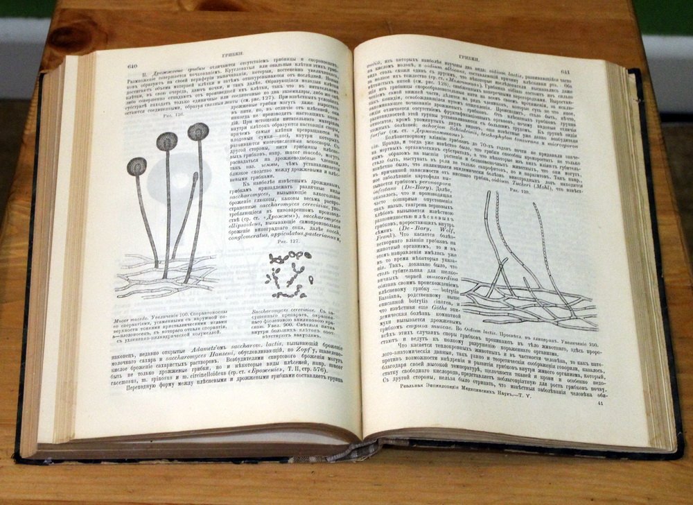 Проф. A. Eulenburg, проф. М.И. Афанасьев. Реальная энциклопедия медицинских наук. Медико-хирургический словарь. С дополнениями и изменениями по новейшим источникам. Том 5: Глазныя мышцы - грыжи.