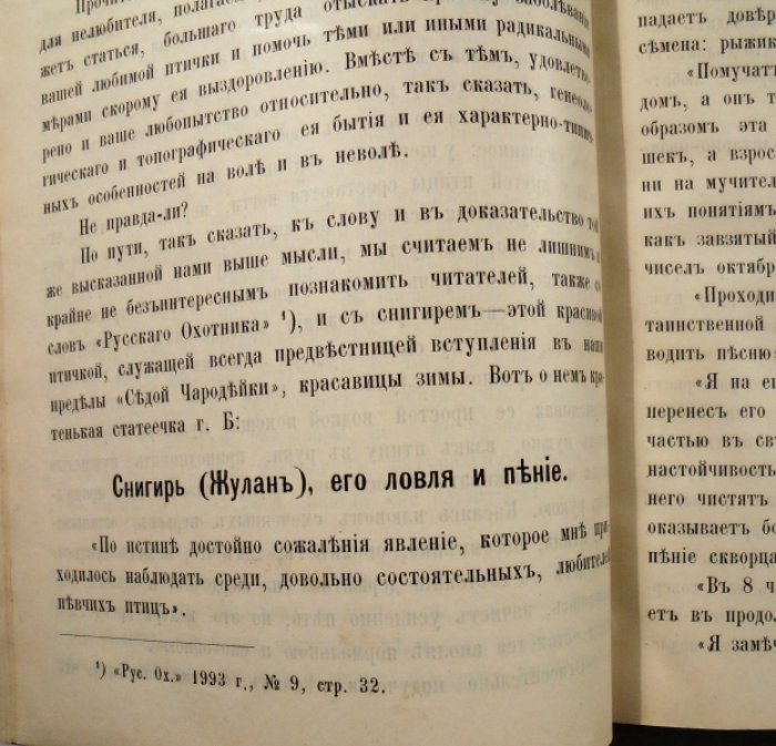 Знаменский П.Я. Жгучий вопрос. Журнально-критическая заметка.