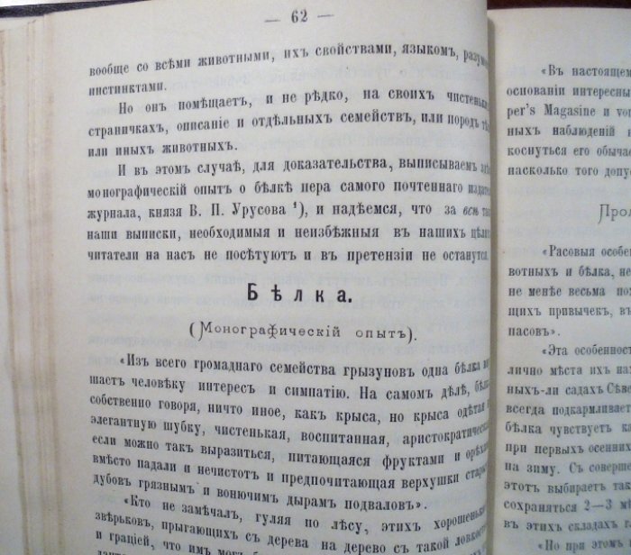 Знаменский П.Я. Жгучий вопрос. Журнально-критическая заметка.