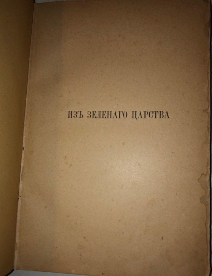 Кайгородов Дм. Из зеленого царства. Популярные очерки из мира растений