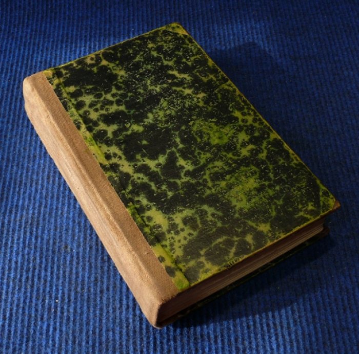 Feuillet Octave. Le roman d`un Jeune homme pauvre. (Роман бедного молодого человека).