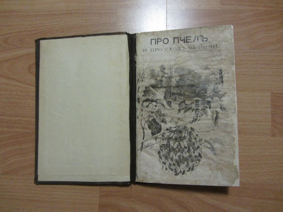 Красноперов С.К. Про пчел, их жилища и уход за ними.