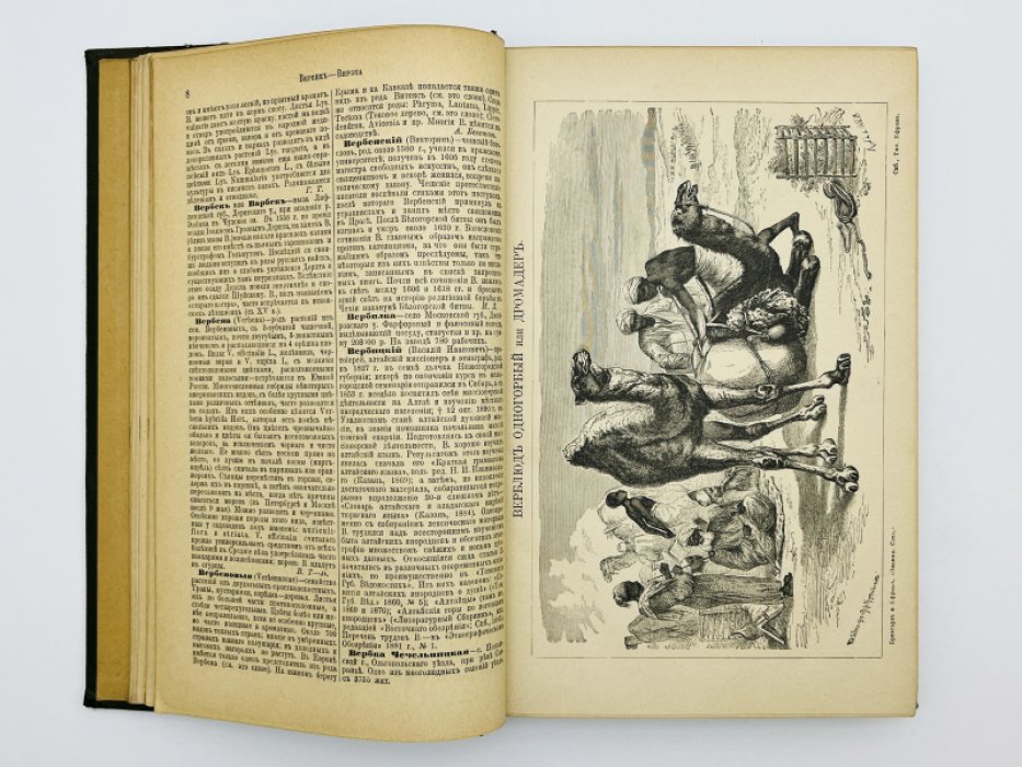 Брокгауз Ф.А., Ефрон И.А. Энциклопедический словарь. Том VI (полутом 11). Венцано - Винона