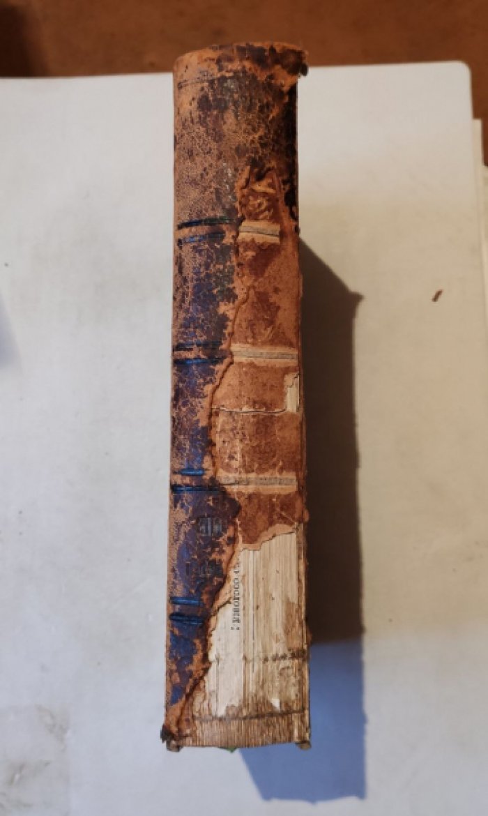 Dr. Robert Wiedersheim (д-р Роберт Видерсхаим) Grundriss der vergleichenden Anatomie der Wirbelthiere. Fuer studierende bearbeitet.