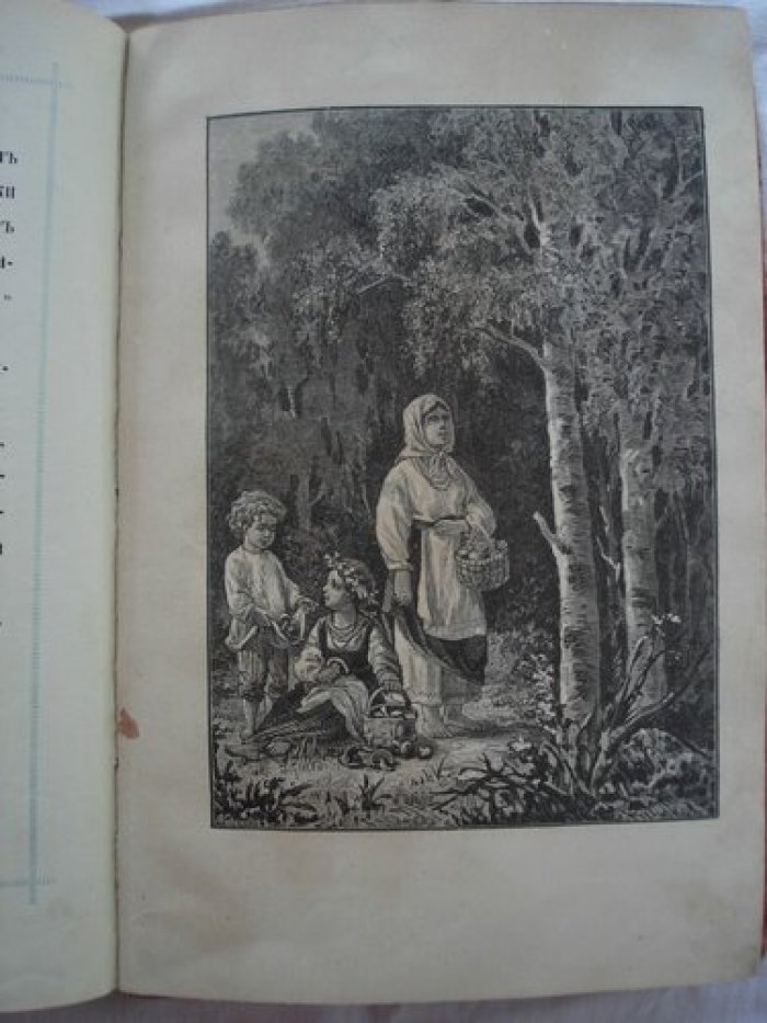 Авенариус В.П. Пчела-мохнатка.