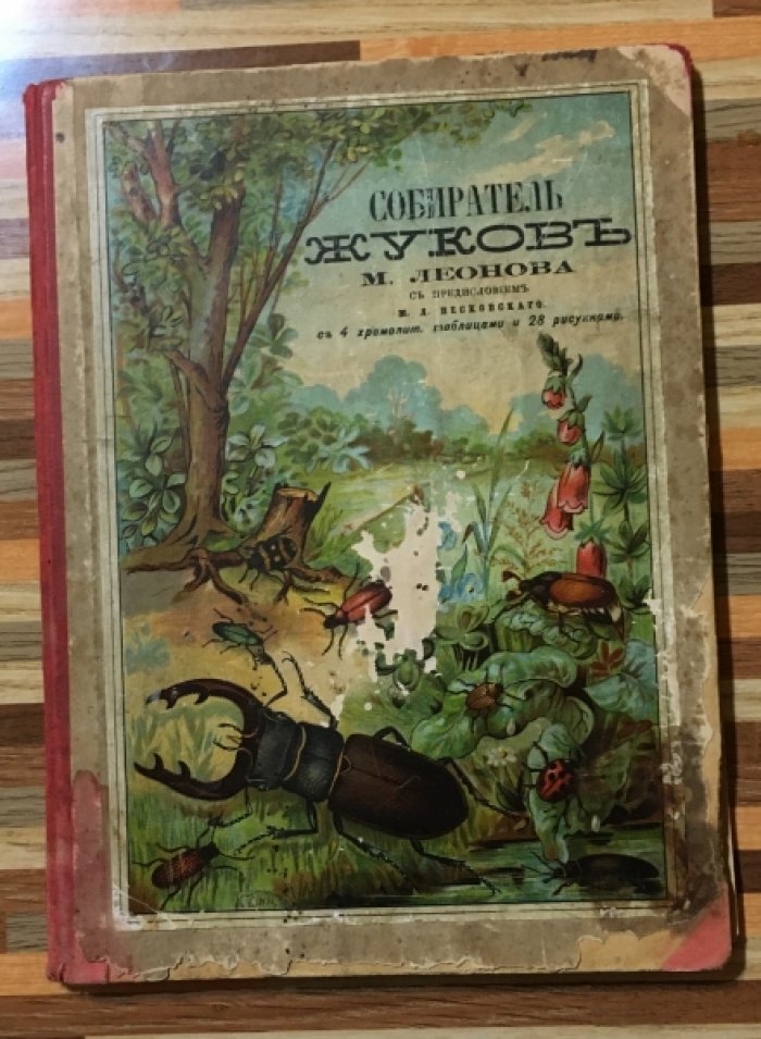 Леонова М. Собиратель жуков.