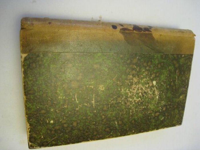 Plytoff G. Les sciences occultes.