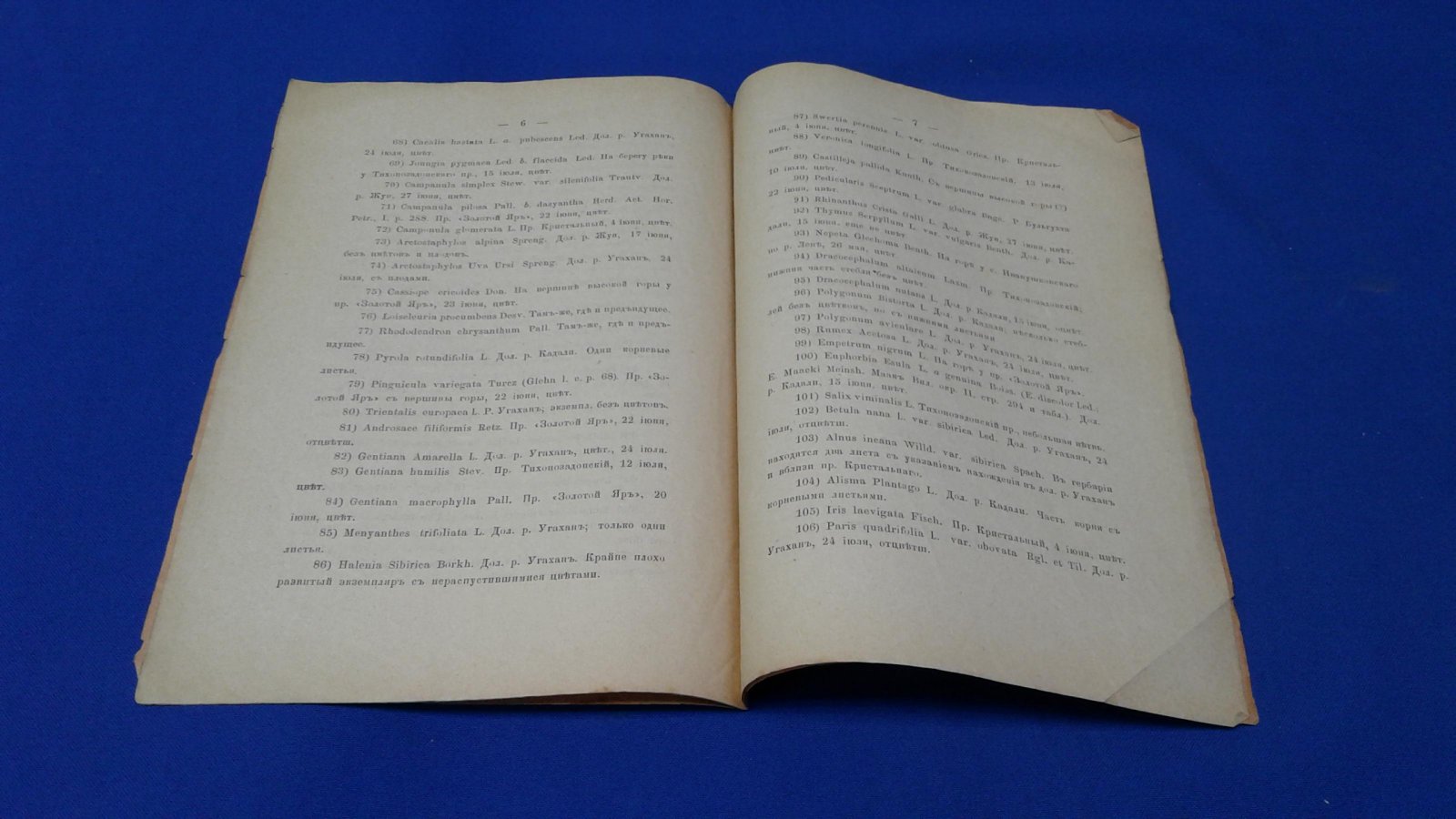 Прейн Я. Список растений, собранных г.Кириллоым в 1891 году в Олекминско-Витимской стране.