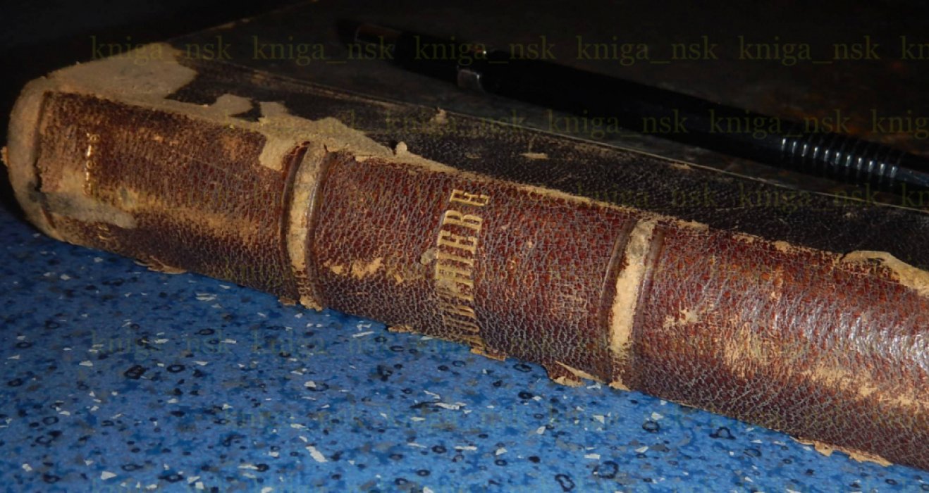 Carl Greve. Карл Греве. Die geographische Verbreitung der jetzt lebenden Raubthiere (Raubtiere). Географическая распространенность ныне живущих хищных животных.
