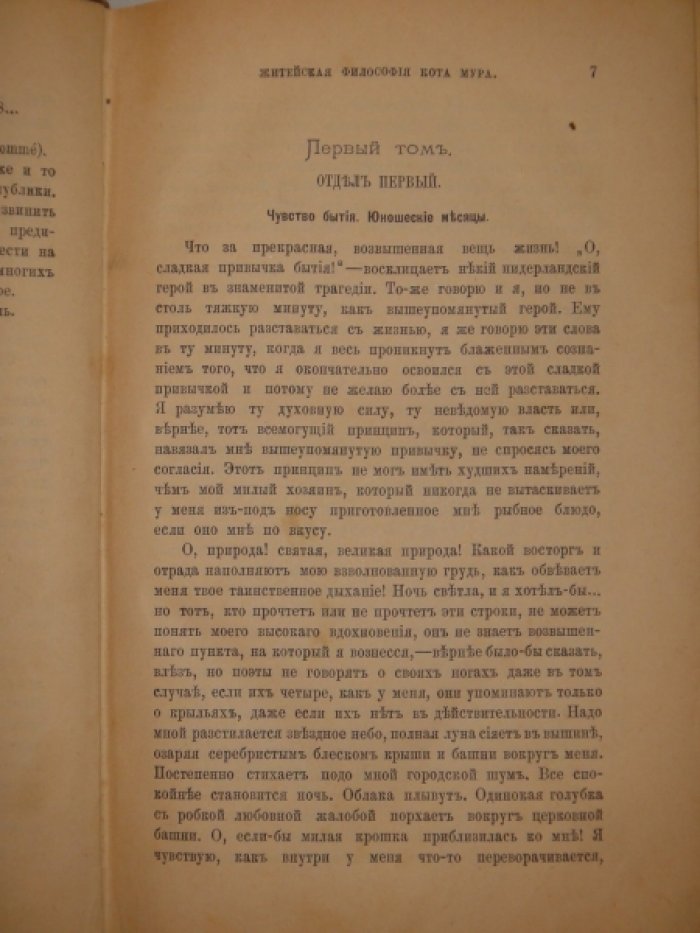 Конволют из двух книг Э.Гофмана и Генри М.Стэнли. Житейская философия кота Мура. Мои чернокожие спутники и диковинные их рассказы.