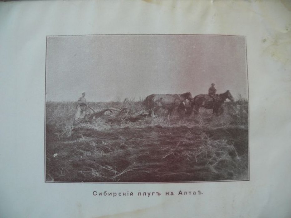 Переселенцы в Сибири. Доклад Комитету Общества для вспомоществования нуждающимся переселенцам.