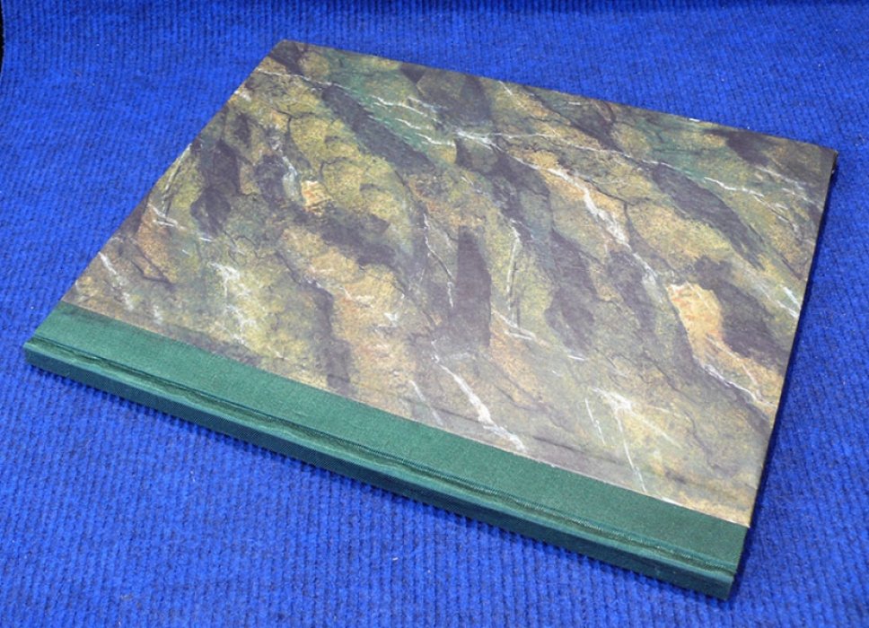 Busch Wilhelm. Schnaken & Schnurren von Wilhelm Busch.