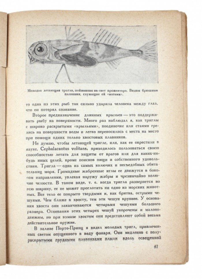 На дне тропического моря: научные впечатления водолаза (издание по материалам экспедиции 1928 года)