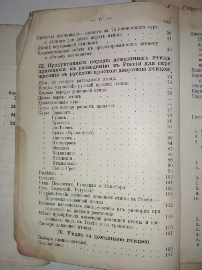 Елагин П.Н. Об условиях разведения домашней птицы в России.