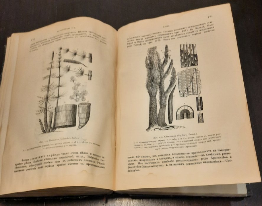 Иностранцев А. А. Геология. Общий курс лекций, читанных студентам С.-Петербургскаго Университета. В двух томах в двух переплетах.