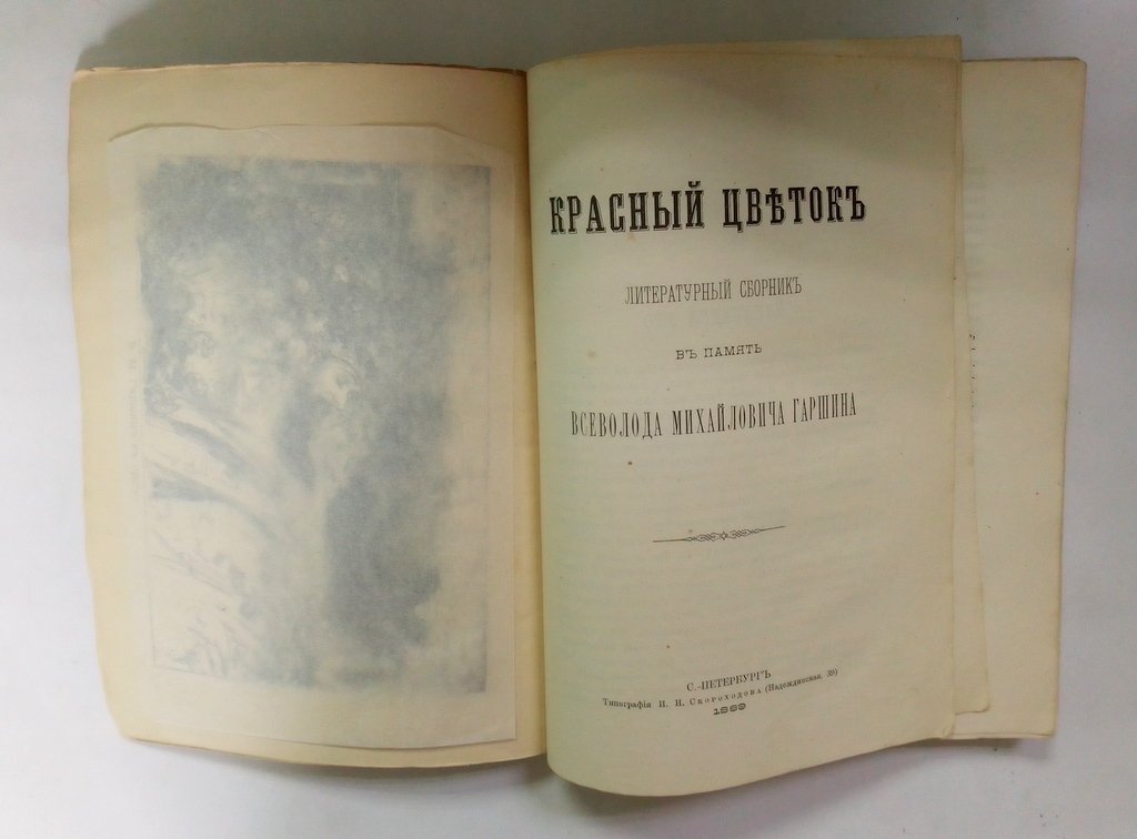 Красный цветок.