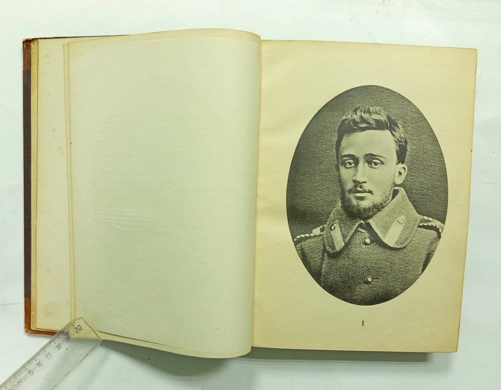 Памяти В. М. Гаршина