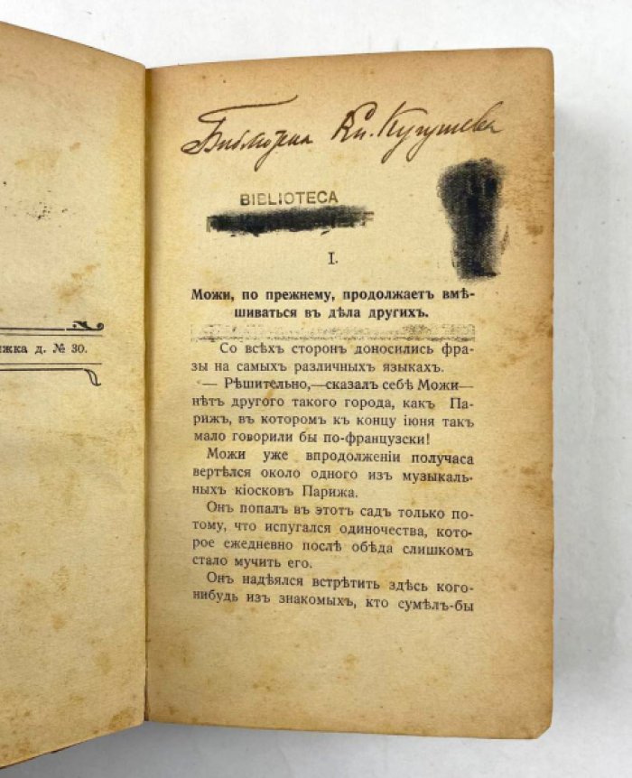 Вилли (Willy). Приключения герцога: роман о любви, признании и жизненных испытаниях
