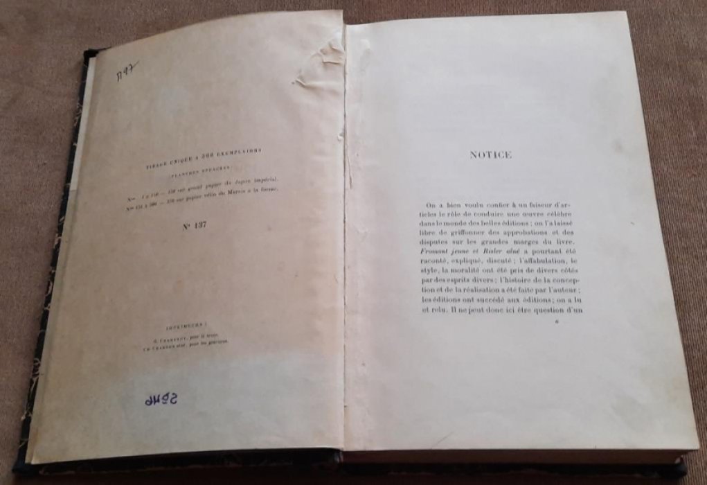 Alphonse Daudet. Fromont jeune et Risler ain?, moeurs parisiennes
