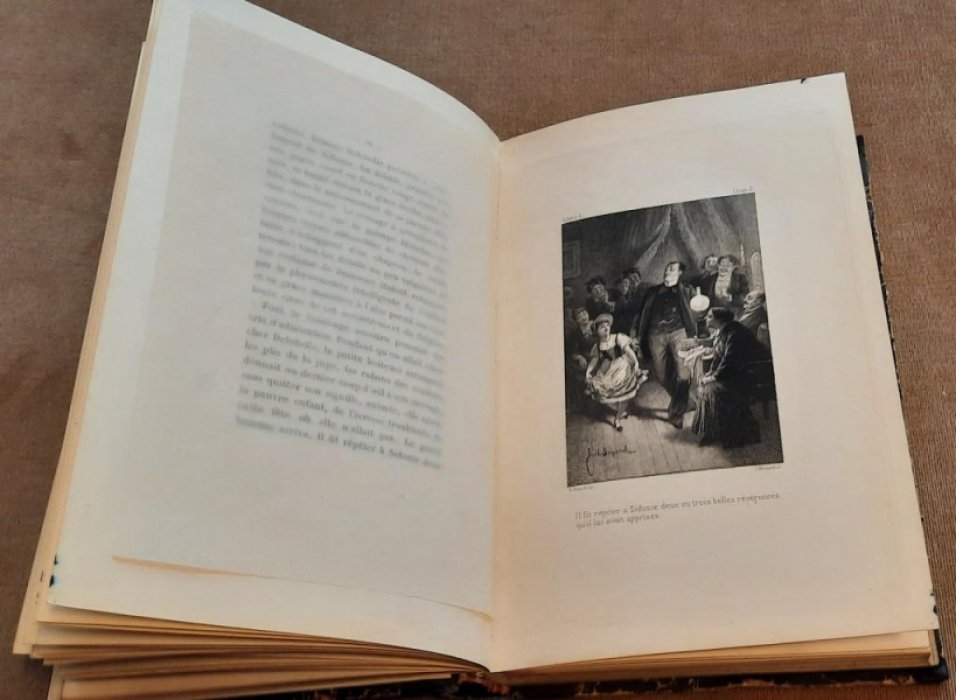 Alphonse Daudet. Fromont jeune et Risler ain?, moeurs parisiennes
