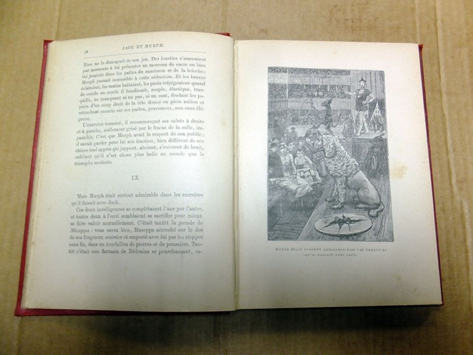 C. Lemonnier. История восьми зверей и куклы (Histoire de huit betes et dune poupee).