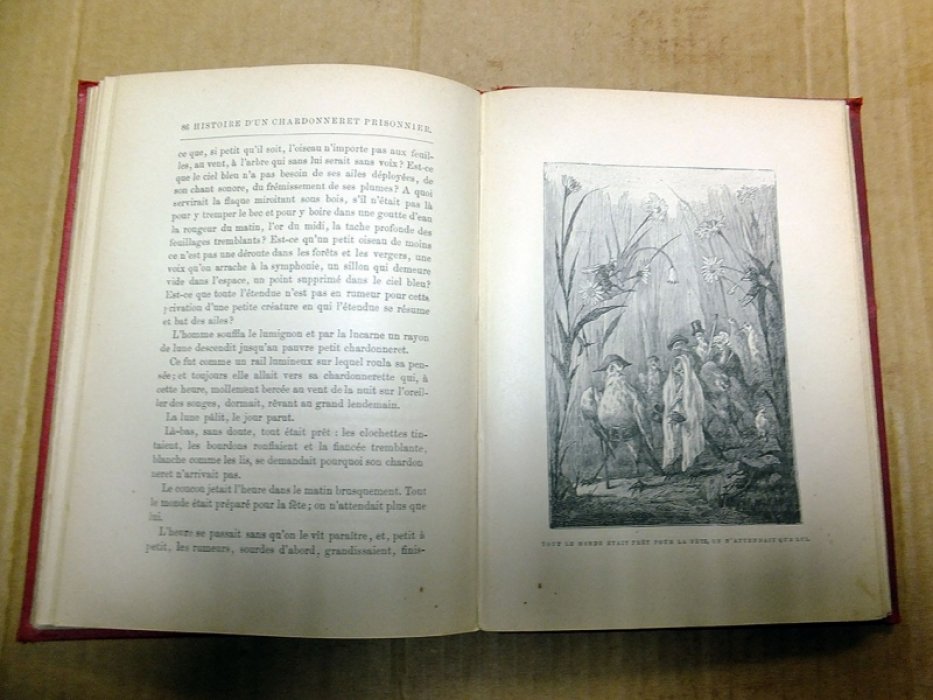 C. Lemonnier. История восьми зверей и куклы (Histoire de huit betes et dune poupee).