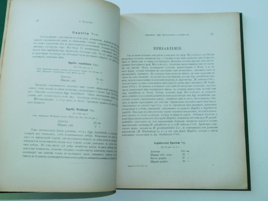 Павлов  А. Аммониты зоны Aspidoceras Acanthicum Восточной России. С 10-тью таблицами.
