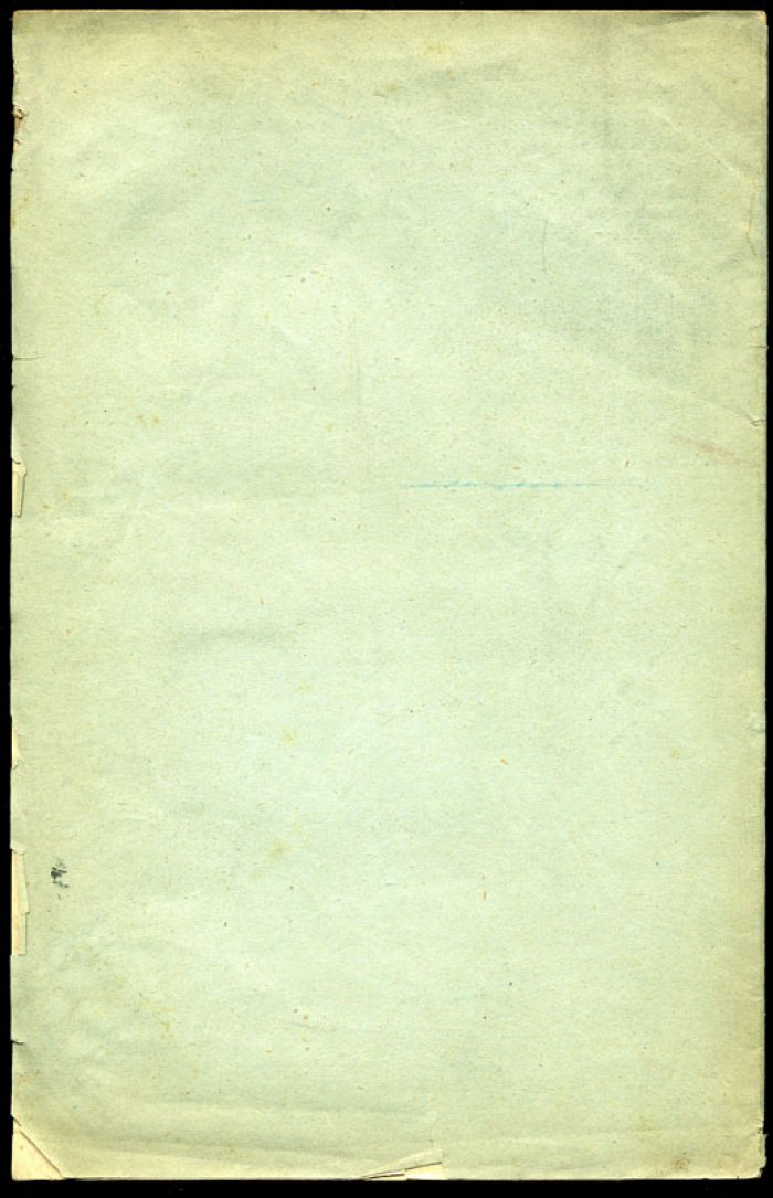 Мазюкевич М. Нужно ли вокруг крепостей устраивать долговременные форты.