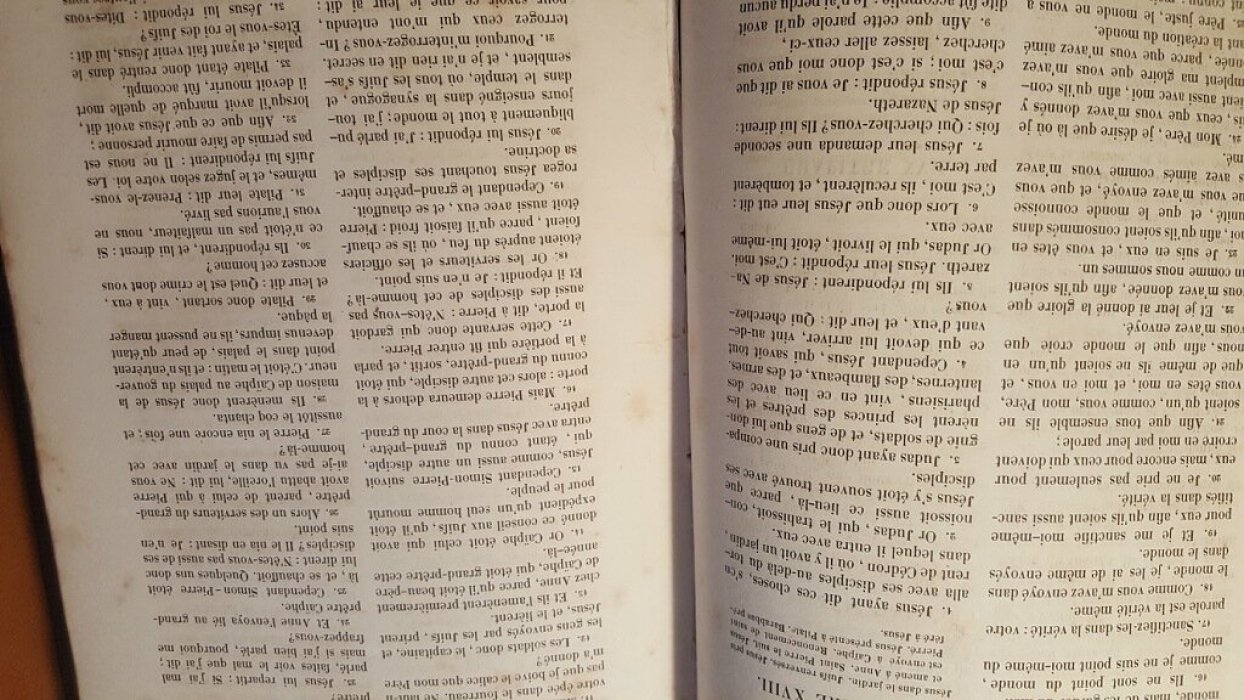 Nouveau testament. La Sainte Bible. Новый завет. Святая библия. Том 4.