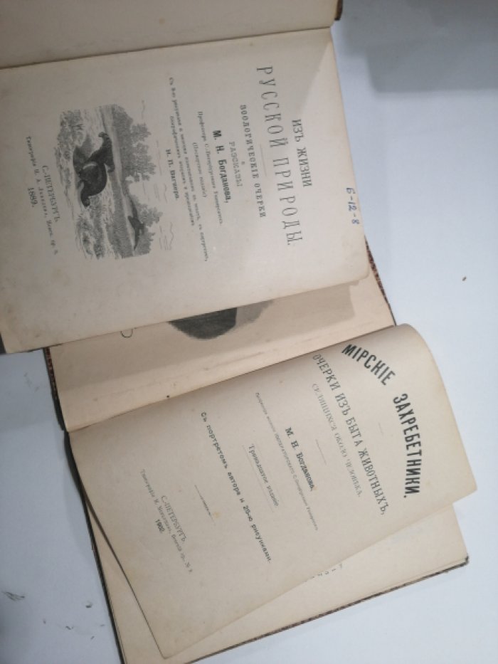 Богданов М. Н. Из жизни русской природы. Зоологические очерки и рассказы.
