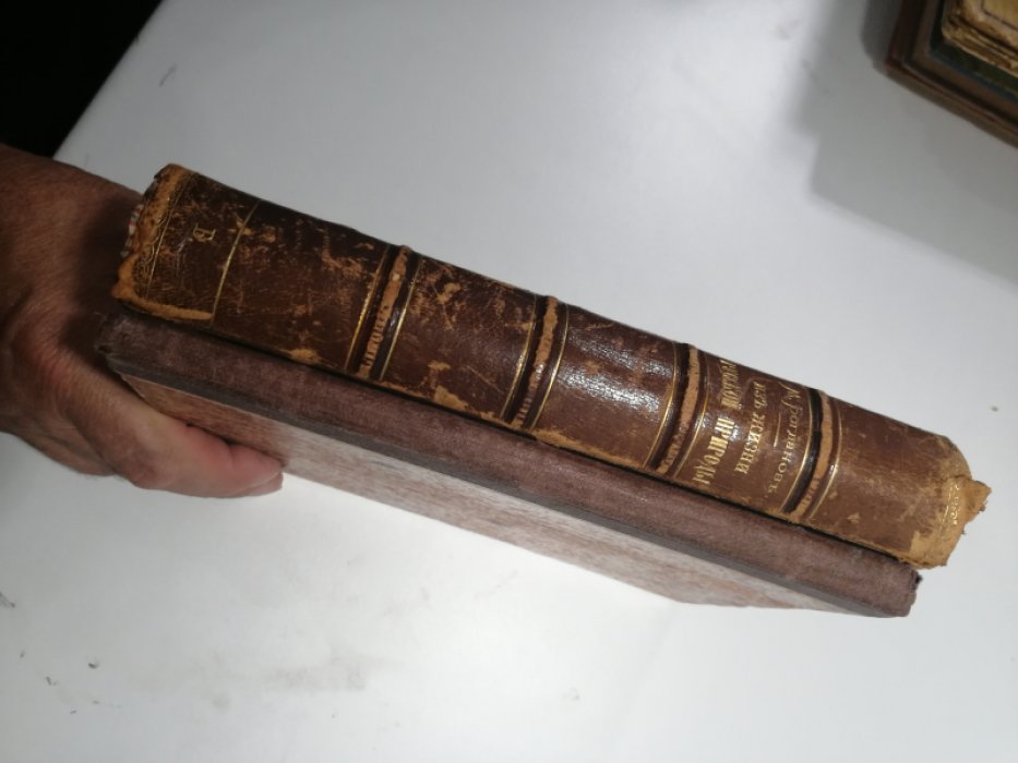 Богданов М. Н. Из жизни русской природы. Зоологические очерки и рассказы.