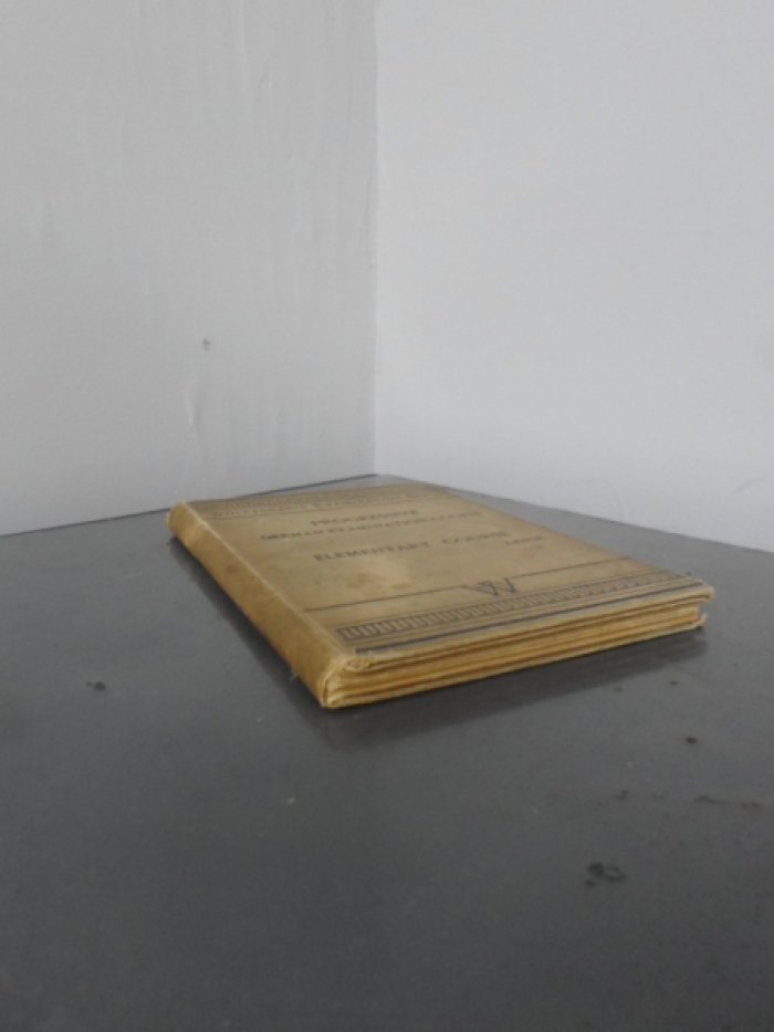 Lange Franz, Ph.D. Progressive german examination course. Elementary course.