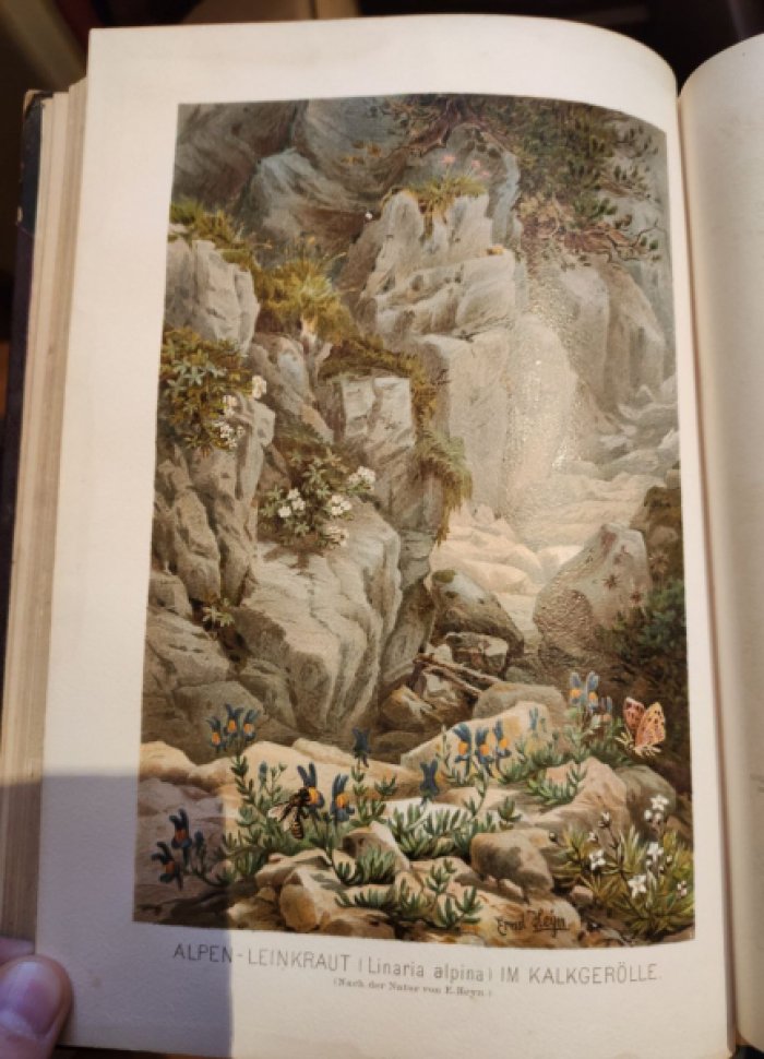 Anton Kerner von Marilaun. Pflanzenleben. Zwei (2) B?nde. Band 1: Gestalt und Leben der Pflanze. Band 2: Geschichte der Pflanzen.