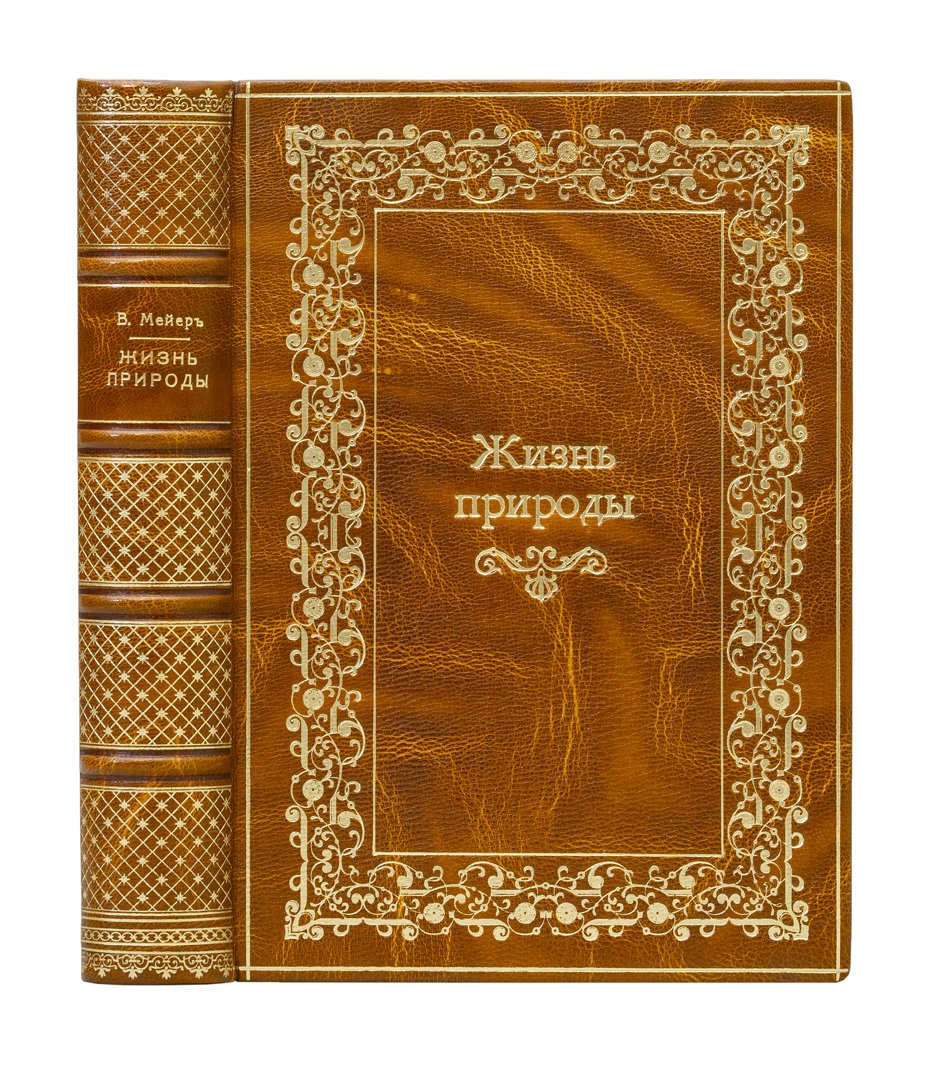 Вильгельм Мейер. Жизнь природы: картина физических и химических явлений