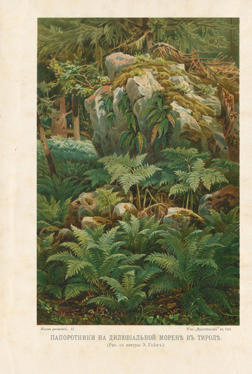 Кернер фон-Мариалун. Жизнь растений. В 2 томах. Биология, формы и история растительного мира