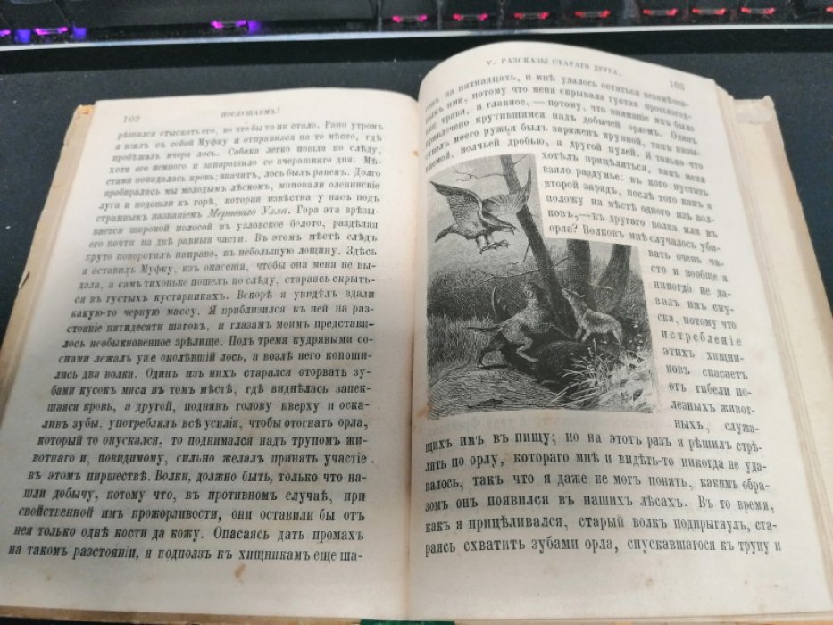 Нольде А. Послушаем! Сборник детских рассказов