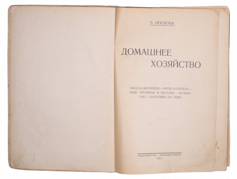 Домашнее хозяйство: рациональный быт, основы кулинарной техники и питание (1928)