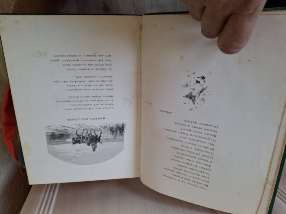 Родные отголоски ( Малорусская жизнь и природа ) . Сборник стихотворений, составленный П. Полевым..