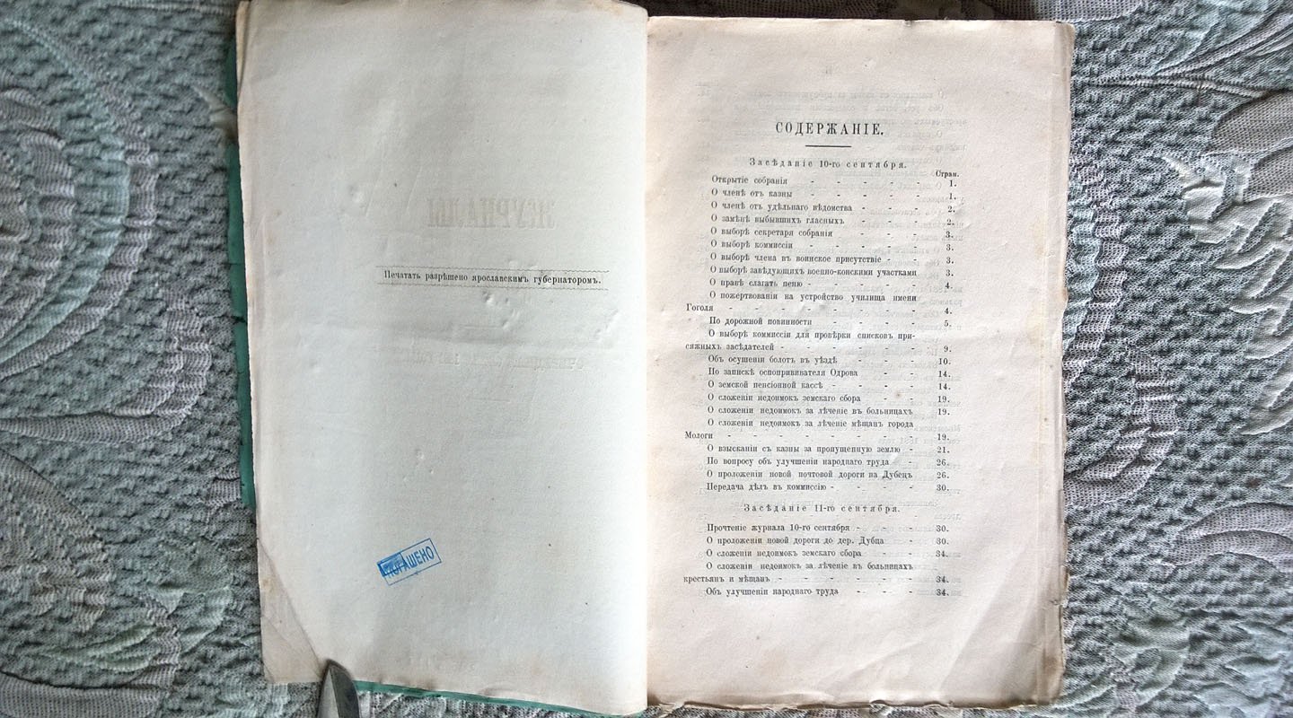 Журналы Мологского уездного земского собрания: Очередная сессия 1881 года.